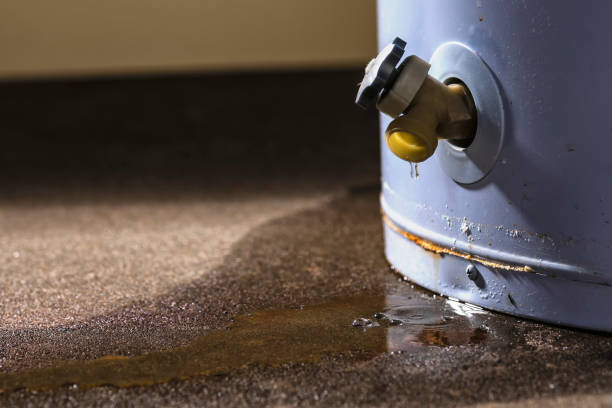 Best Water damage contractors near me  in Lockhart, TX