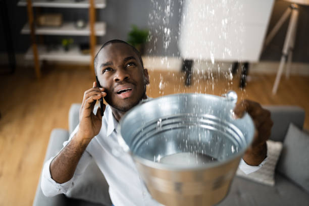 Best Flood damage cleanup  in Lockhart, TX