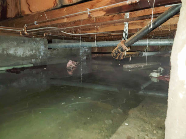 Best Ceiling water damage repair  in Lockhart, TX