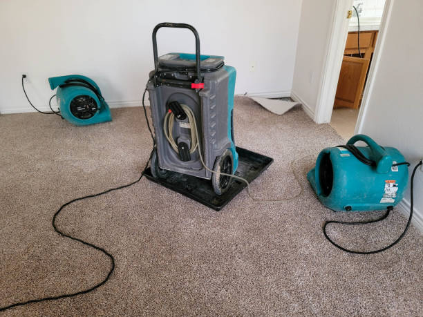 Best Water damage cleanup near me  in Lockhart, TX