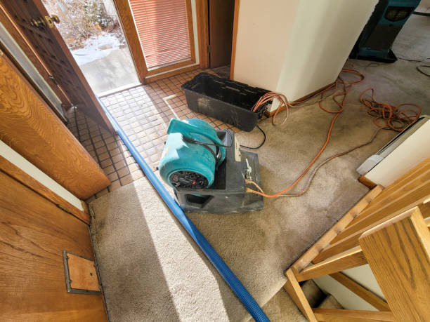 Best Water damage restoration services  in Lockhart, TX