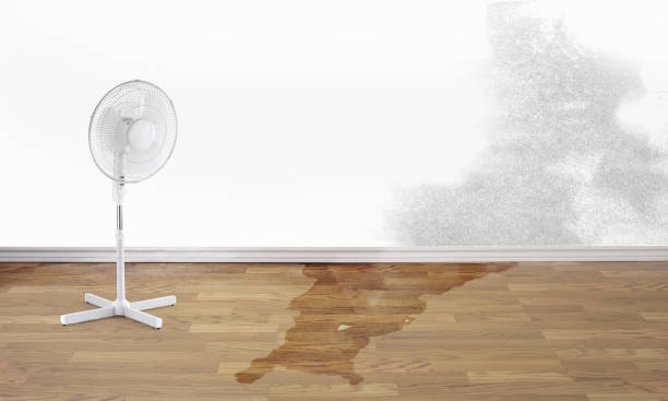 Best Sewage cleanup and water damage restoration  in Lockhart, TX