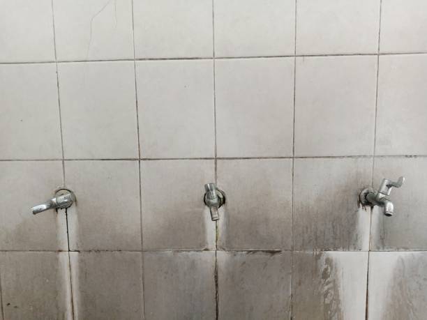Best Flood restoration services  in Lockhart, TX
